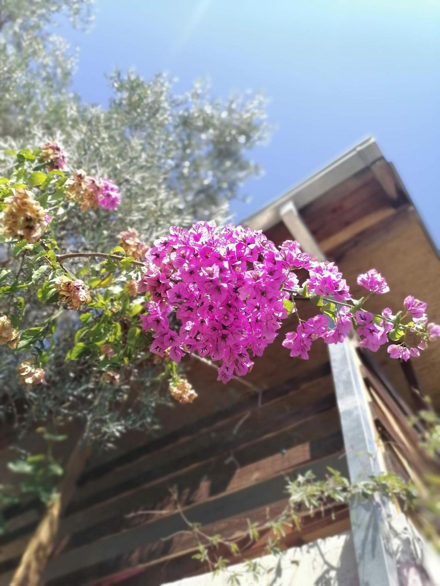 Apartmani Lala 2 Canj Čanj Exterior foto